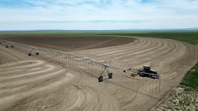 Oasis Farms photo 16