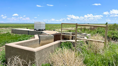 Oasis Farms photo 47