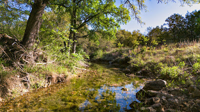 Settlement Branch Ranch photo 14