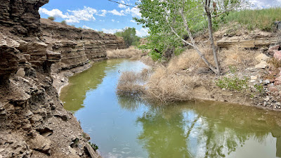 Oasis Farms photo 2