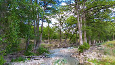 River Bend Ranch photo 7