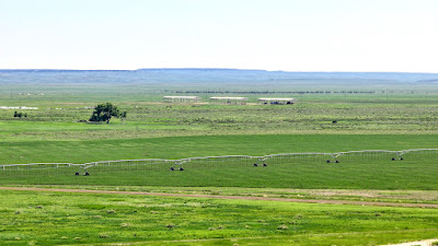 Oasis Farms photo 10