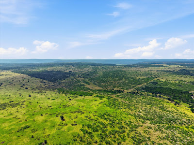State Highway 16, Strawn, Texas photo 3