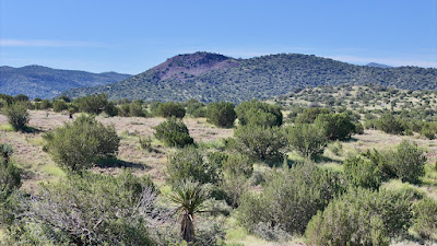 Tract 111, Sierra La Rana, Alpine, TX 79830