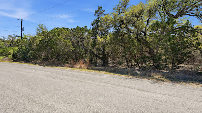 806 Rutherford photo 5