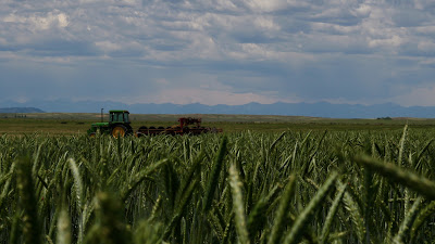 Oasis Farms photo 93