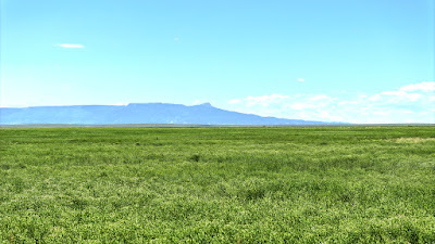 Oasis Farms photo 28