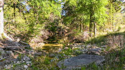 Settlement Branch Ranch photo 62