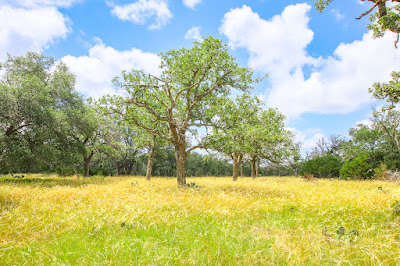 Rancho de Cacería photo 26