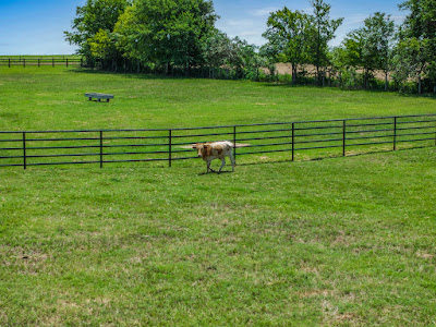 New Ulm Ranch photo 11