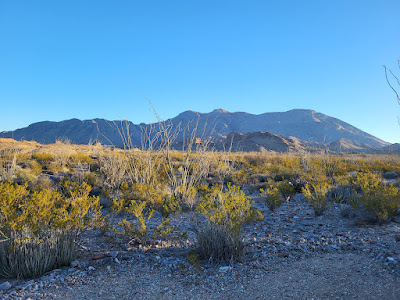 Terlingua Ranch track 38 gate 2 photo 12
