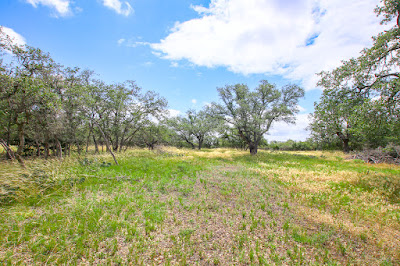 Rancho de Cacería photo 20