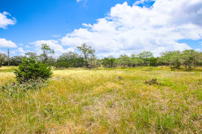 Rancho de Cacería photo 21