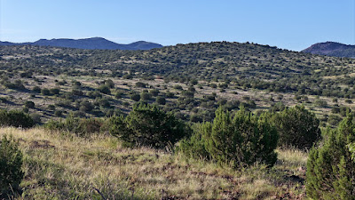 Tract 57R, Sierra La Rana, Alpine, TX 79830 photo 5