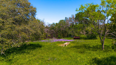 Oakalla Hills Ranch photo 6