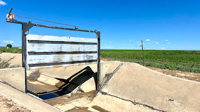 Oasis Farms photo 48
