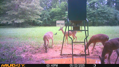 Whistle Stop Ranch photo 2