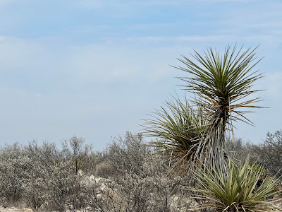 Cedar Road Ranch photo 17