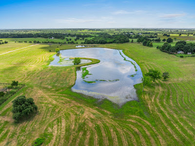 New Ulm Ranch photo 7
