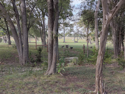 21 Thunder Valley Rd photo 18