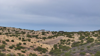 Scenic Ridge Ranch photo 14