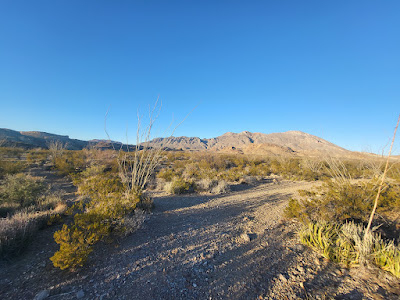 Terlingua Ranch track 38 gate 2 photo 6