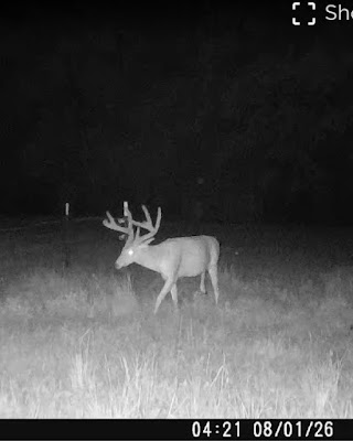 The Kennedy Ranch photo 22