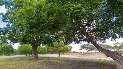 River Bend Ranch photo 17
