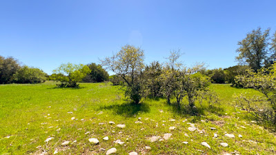 Oakalla Hills Ranch photo 37