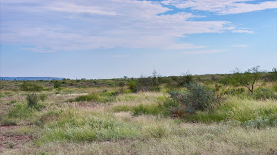 Tract 4, Sierra La Rana, Alpine, TX 79830 photo 11