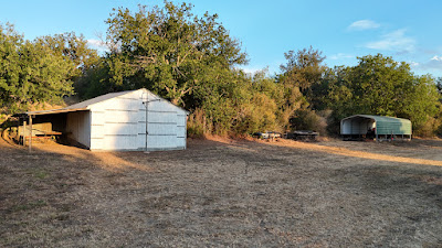 9103 E RM 1431 photo 6