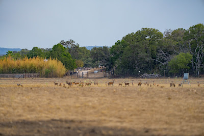 Heritage Springs Ranch photo 31
