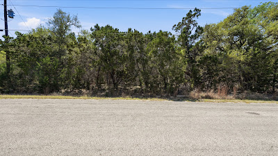 806 Rutherford photo 7