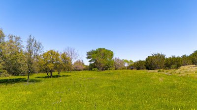Oakalla Hills Ranch photo 10