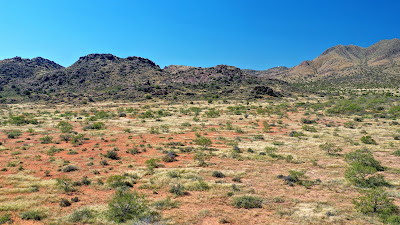 Lizard Mountain Ranch photo 22