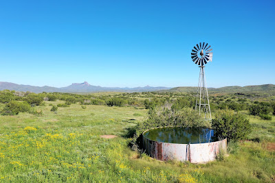 Calamity Creek Ranch