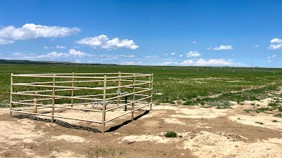Oasis Farms photo 45