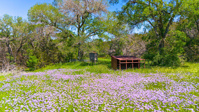 Oakalla Hills Ranch photo 7