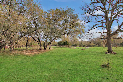 721 A Cypress Bend Drive