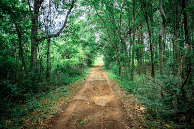 Whistle Stop Ranch photo 99
