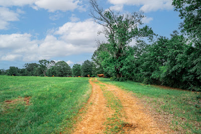 Whistle Stop Ranch photo 82