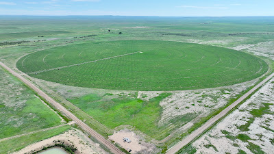 Oasis Farms photo 18