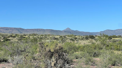 Tract 34, Sierra La Rana, Alpine, TX 79830 photo 9