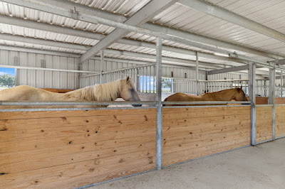New Ulm Ranch photo 49