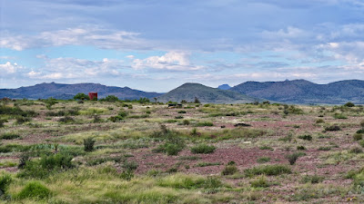 Tract 7, Sierra La Rana, Alpine, TX 79830 photo 4