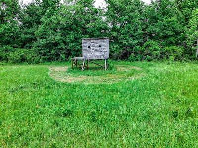 Whistle Stop Ranch photo 33