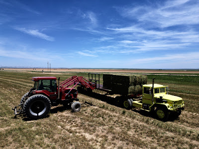 Oasis Farms photo 38