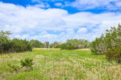 Rancho de Cacería photo 15
