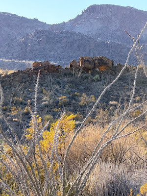 Terlingua Ranch track 38 gate 2 photo 19