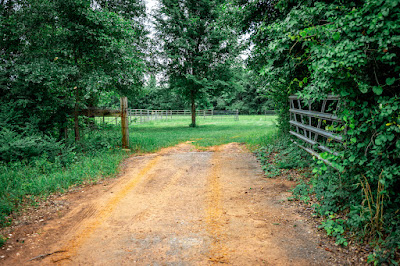 Whistle Stop Ranch photo 87
